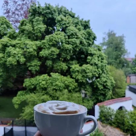 公寓 N13 Living 阿尔高的万根